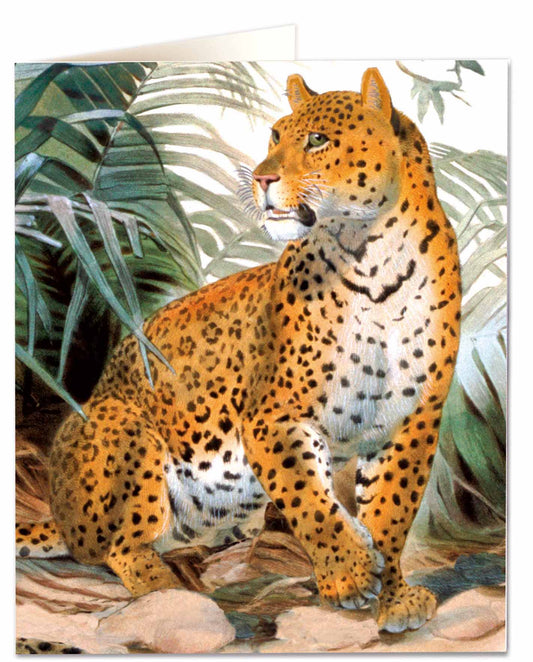 Leopard Card