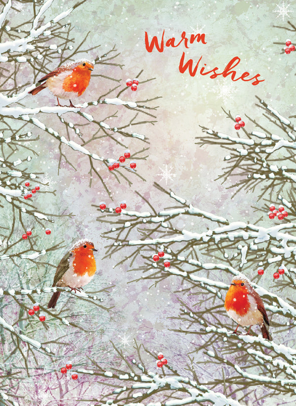 Robins Holiday Boxed Cards