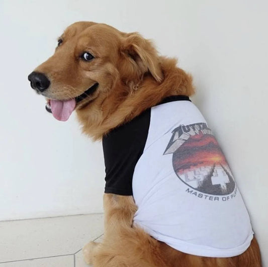 Raglan Dog Tees Master Of Puppies Medium