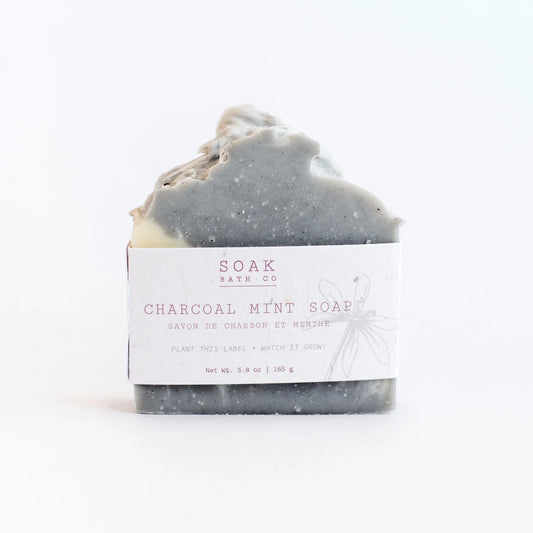 Charcoal Mint Soap Bar