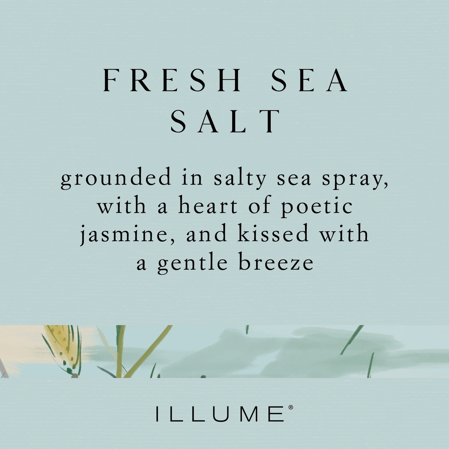 Fresh Sea Salt Demi Vanity Tin Candle