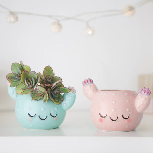 Cactus Planter Pot