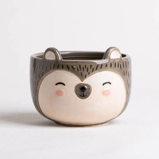 Hedgehog Planter