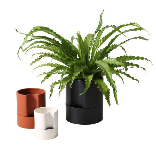 Jett Planter Black